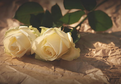 在婚姻关系里如履薄冰的人很难有幸福感吗 在婚姻关系里如履薄冰的人很难有幸福感吗