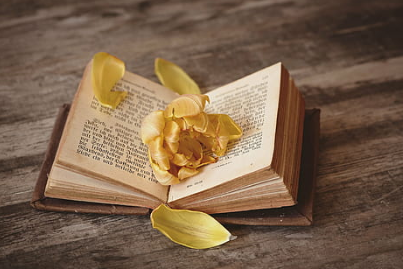 牢记这五点，让你异地恋没那么难