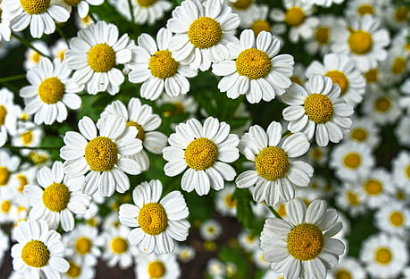 如何检查自己是否有焦虑症？来做做自测题吧