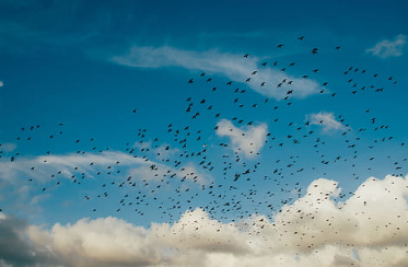 为什么白领容易得焦虑症？
