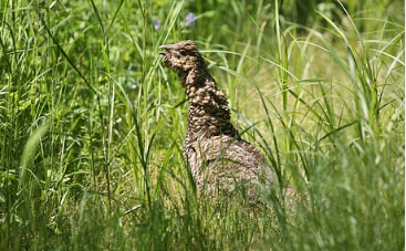 通过休息的方式可以解决焦虑吗? 通过休息的方式可以解决焦虑吗?