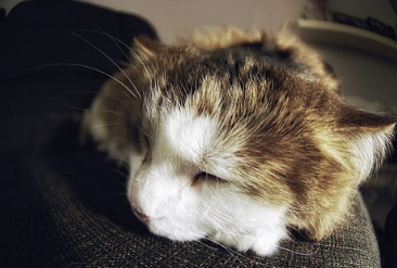 为什么说睡前一小时离开电子设备能改善睡眠? 为什么说睡前一小时离开电子设备能改善睡眠?