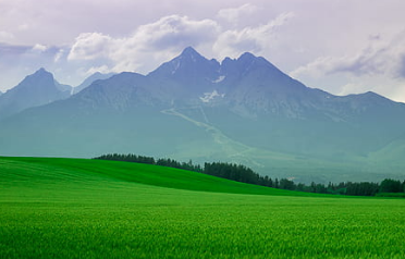 和异地恋女友在一起却不公开怎么办？