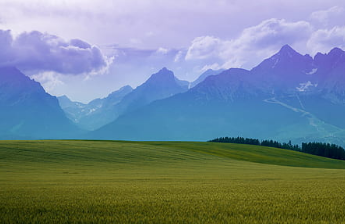 异地恋男友不愿意和我聊天怎么解决？