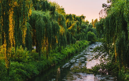 1606832767890583.png image.png